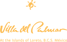 Villa del Palmar Islands of Loreto logo